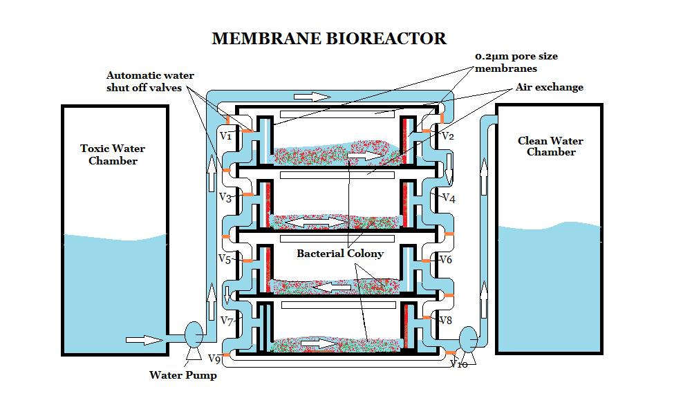 Toronto 2015 bioreactor updated design.jpg