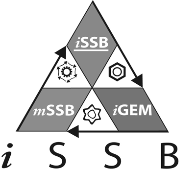 Logo issb small gray.png