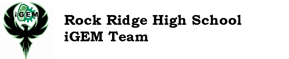 Team Rock Ridge Virginia banner.jpg