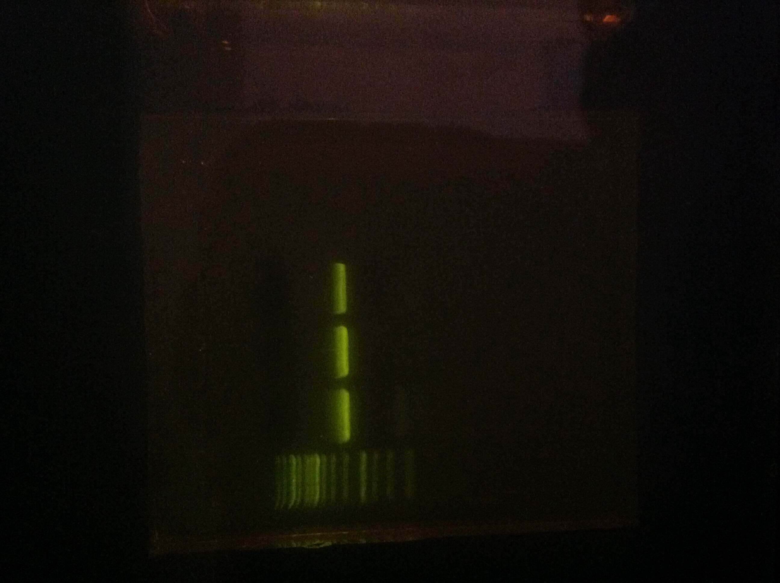 2015-08-04 PCR PCquad 3.0 amplification 61C, 65C, 69C.JPG