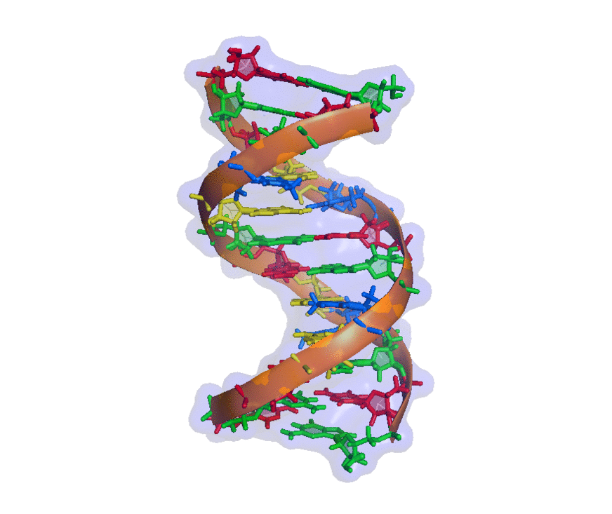 NAIT DNA Animated.gif