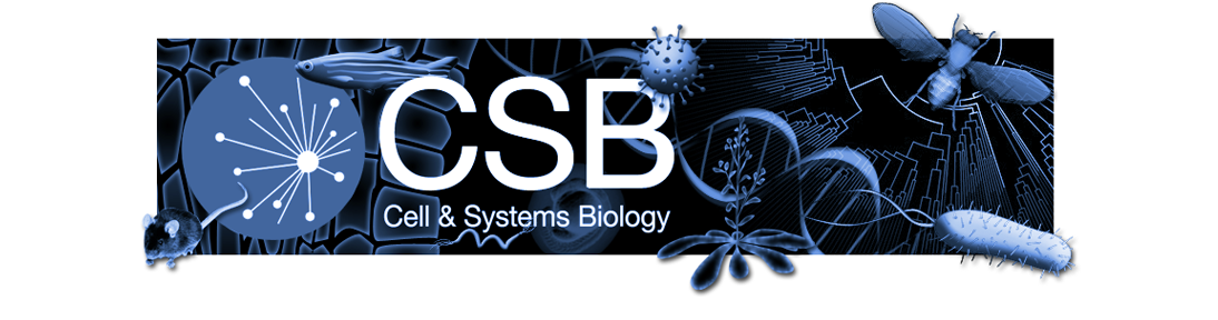 Toronto 2015 CSB logo.png