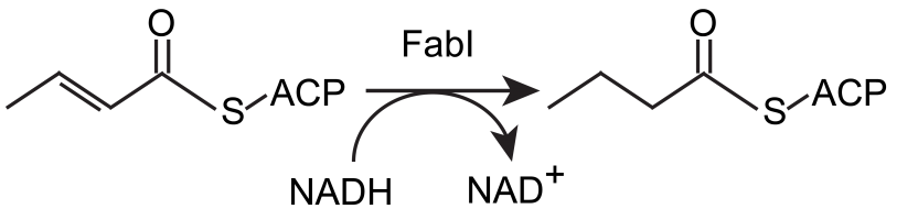 15UCDavis enzyme pathway.png