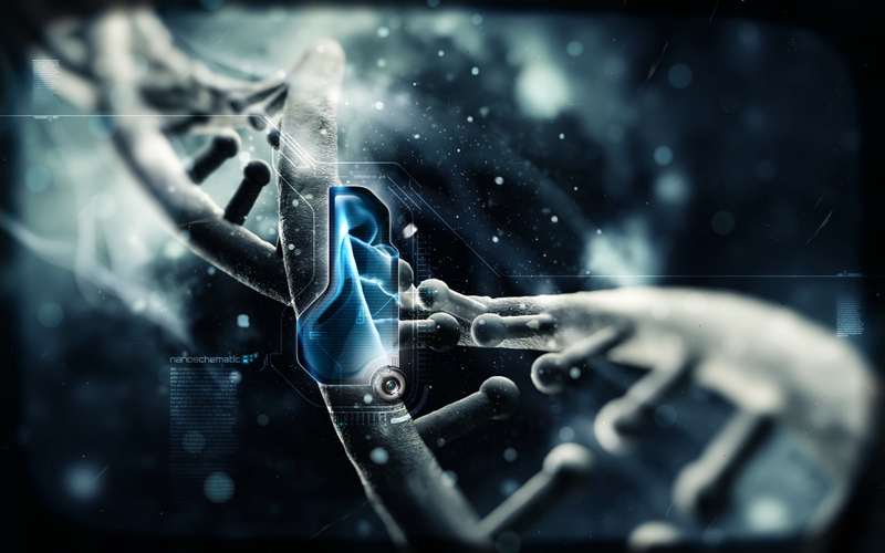 Lausanne 2015 DNA Banner.jpg