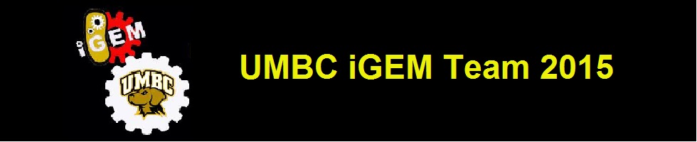 Team UMBC-Maryland banner.jpg
