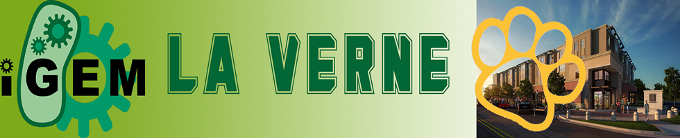 Team LaVerne-Leos banner.png