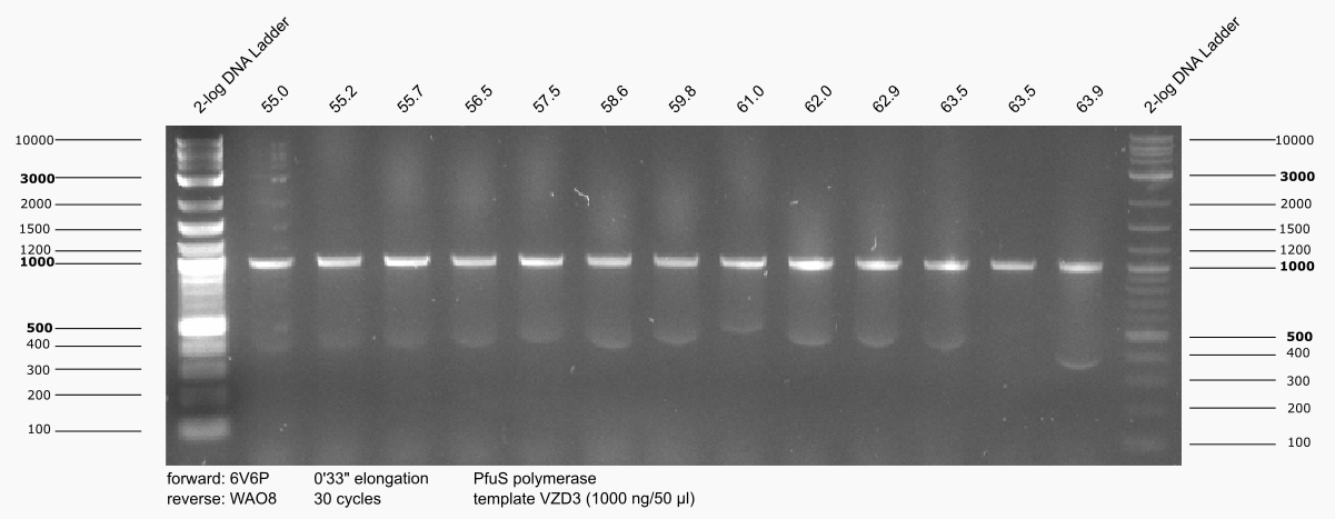 Aachen 15-06-16 genomic gradient glgX.png