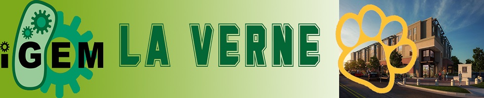 Team LaVerne-Leos banner.jpg