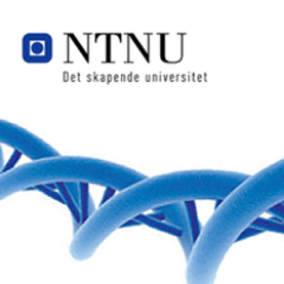 NTNU generic logo 2015.png