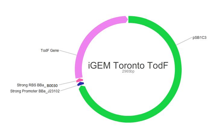 Toronto 2015 TodFplasmid.png