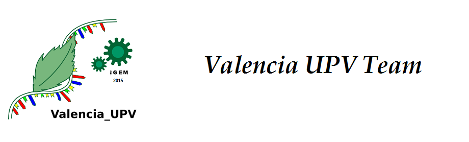 Team Valencia UPV banner.jpg