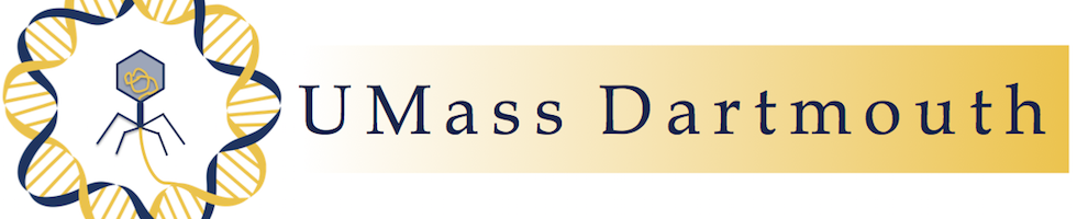 Team UMass-Dartmouth banner.jpg