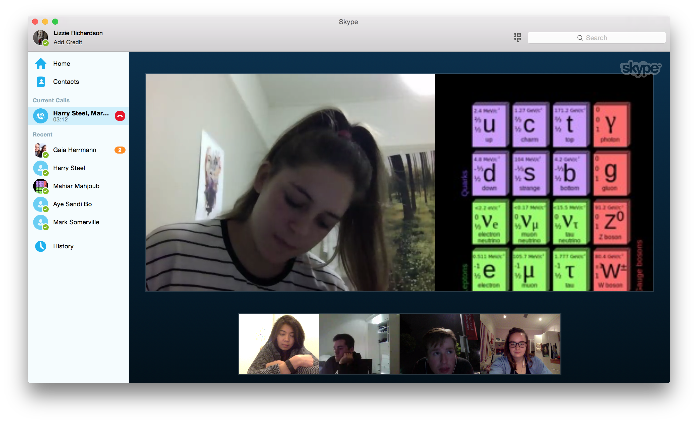 Skype team sydney.jpg