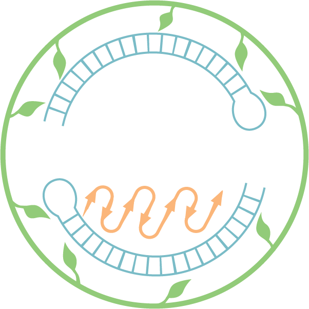 Waterloo iGEM CRISPieR Logo