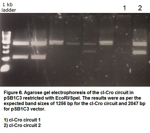 File:BBKiGEM-cICro-circuit.png