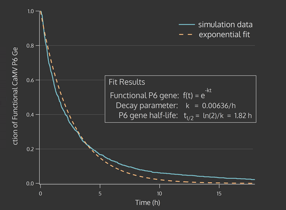 Exponential decay of functional viral genomes to non-functional genomes