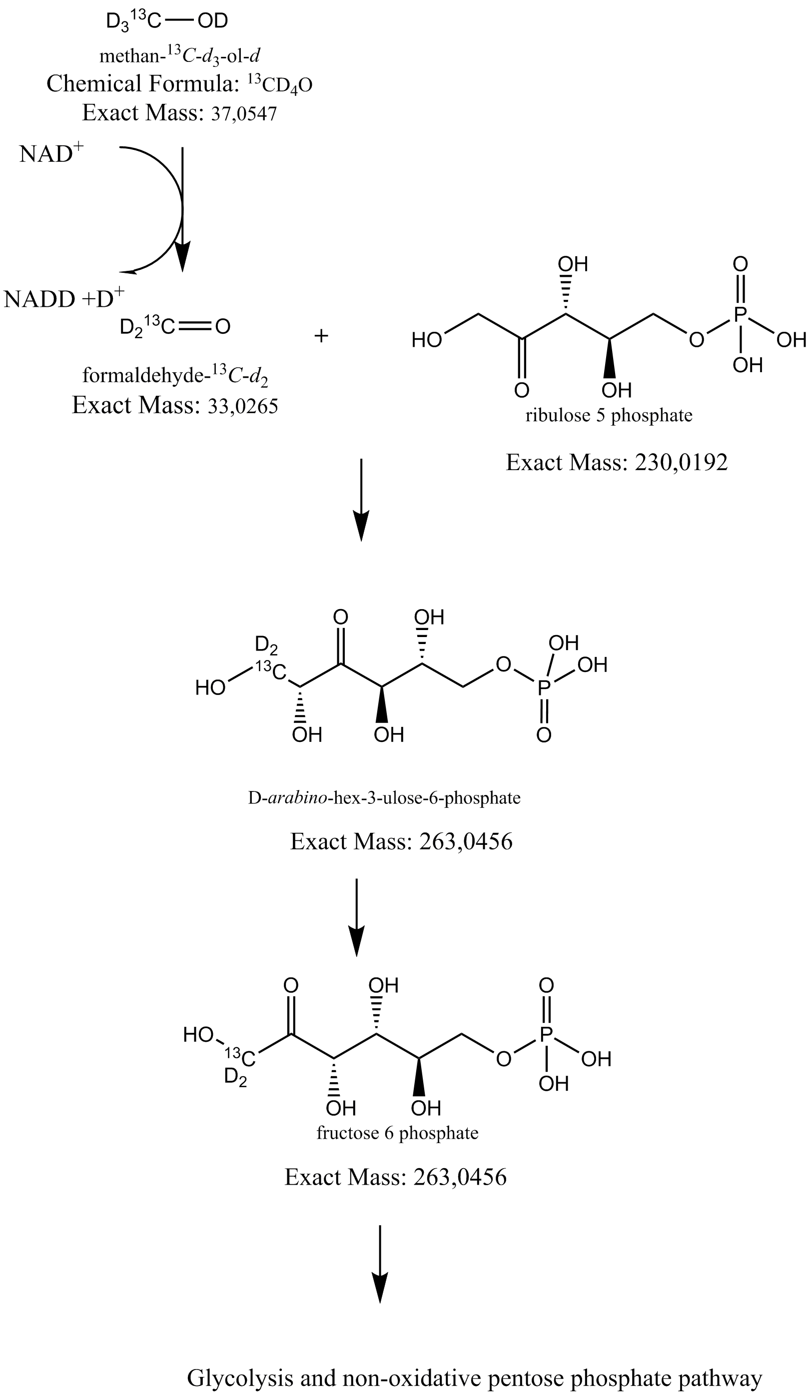 Aachen labeling reaction view.png